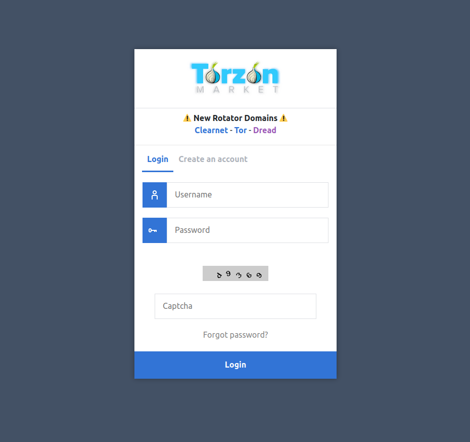 Torzon secure login interface